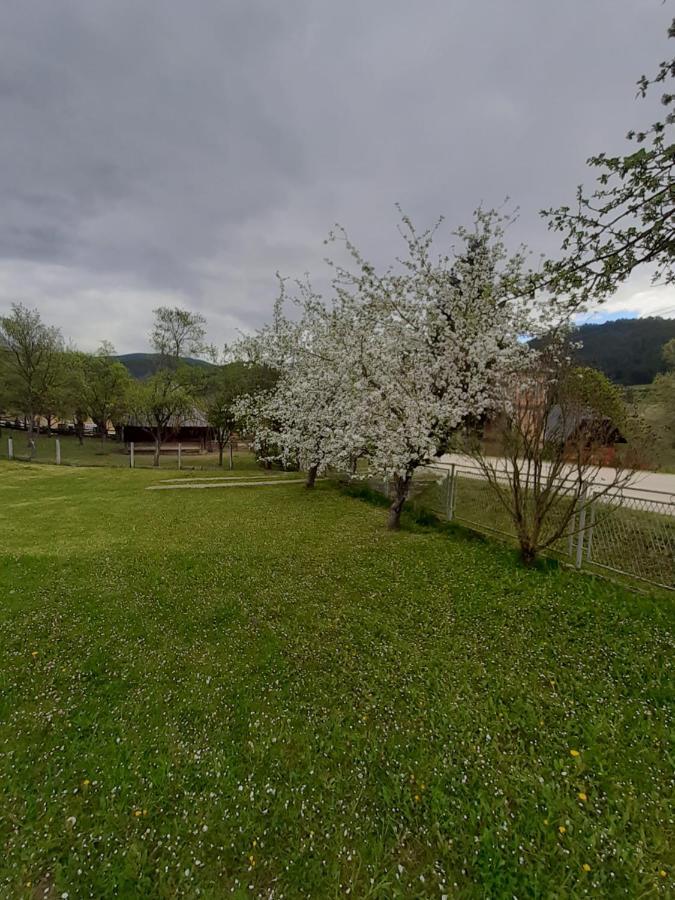Apartman Djokovic Mokra Gora Exterior foto