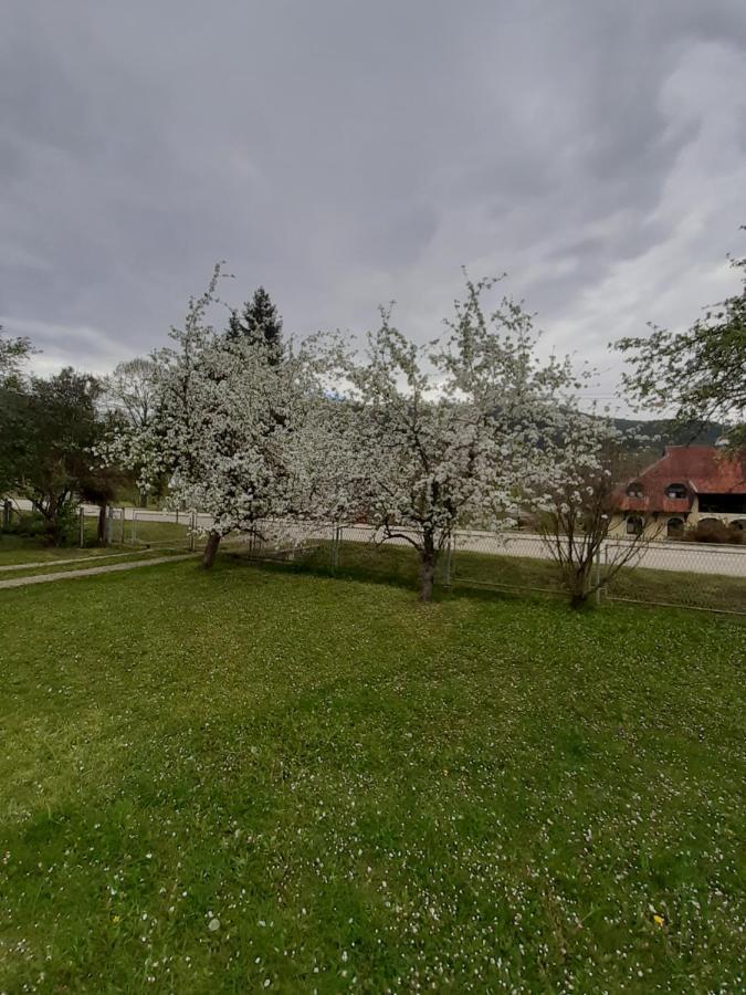 Apartman Djokovic Mokra Gora Exterior foto