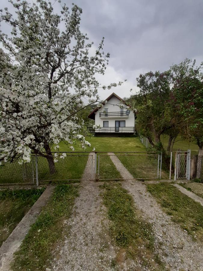 Apartman Djokovic Mokra Gora Exterior foto